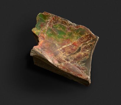 null Morceau d'Ammolite en boîte

L'ammolite est une pierre ornementale d'origine...