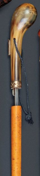 null Canne-épée pommeau en corne, lame losangique

Long. 89 cm