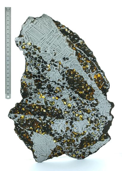 null Impressionnante pallasite Seymchan, météorite de pallasite découverte en Russie,...