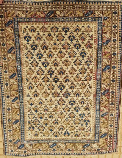 null CAUCASE 

Chirvan fin XIXe siecle

tapis en laine à fond blanc décor à fleurs...
