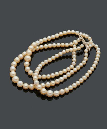 null Bracelet composé de trois rangs de perles de culture en chute enfilées sur fil....