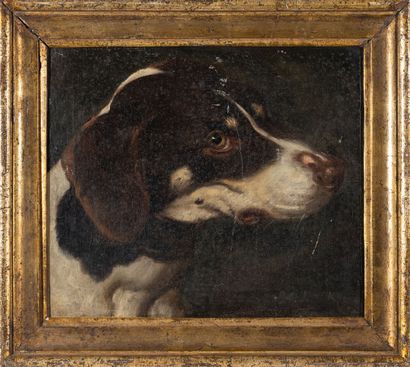 null Ecole FRANCAISE du XVIIIème siècle

Tête de chien

Huile sur toile 

26,5 x...