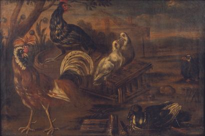 null Ecole ITALIENNE du XVIIIème siècle, entourage de BOSELLI

Oiseaux dans une basse-cour

Sur...