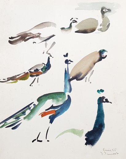 null Pierre PRUVOST (1921-2008)

Etude d'oiseaux et singes, 64, 65

Cinq études (quatre...