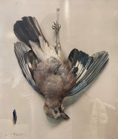 null André WILQUIN (1899-2000)
Oiseau
Aquarelle signée en bas à gauche
43 x 36 c...