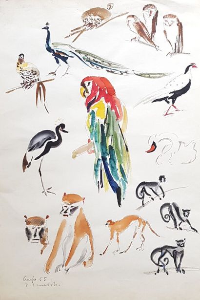 null Pierre PRUVOST (1921-2008)
Etude d'oiseaux et singes, 64, 65
Cinq études (quatre...