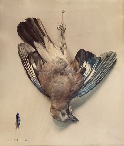 null André WILQUIN (1899-2000)
Oiseau
Aquarelle signée en bas à gauche
43 x 36 c...