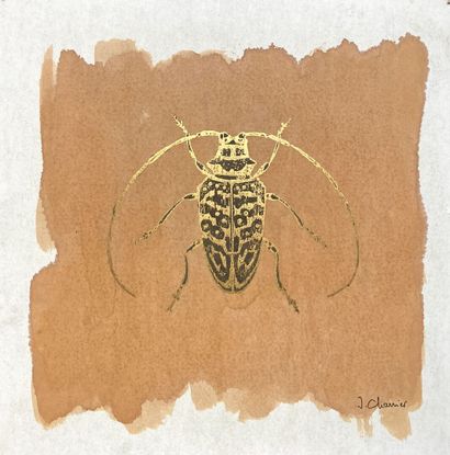 null Jacques CHARRIER (1936)
Insectes
Trois aquarelles et techniques mixtes sur papier,...