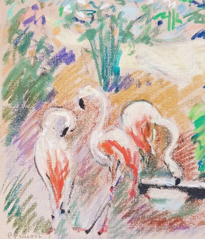 null Pierre PRUVOST (1921-2008)
Flamants roses et ibis , Cap d'Antibes
Etudes d'oiseaux,...