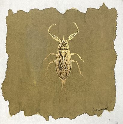 null Jacques CHARRIER (1936)
Insectes
Trois aquarelles et techniques mixtes sur papier,...