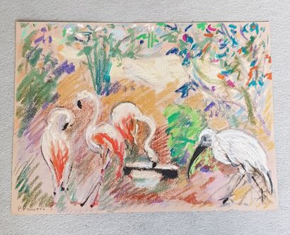 null Pierre PRUVOST (1921-2008)
Flamants roses et ibis , Cap d'Antibes
Etudes d'oiseaux,...