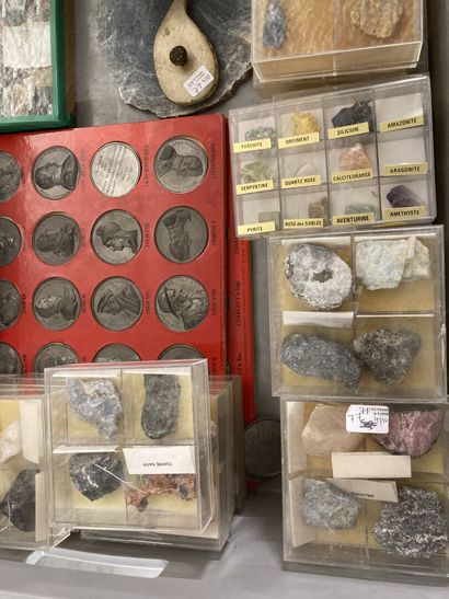 null Important lot de pierres et de minéraux (quartz, serpentine, calcédoine, labradorite,...