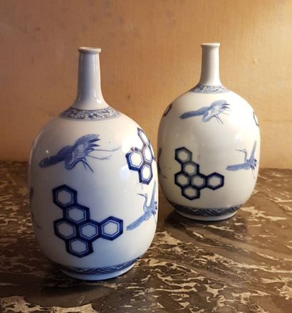 null JAPON paire de bouteilles à long col en porcelaine bleu et blanc à décor de...