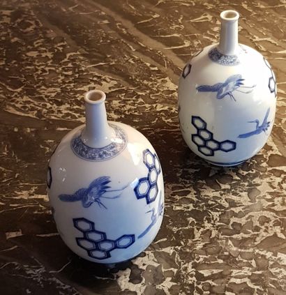 null JAPON paire de bouteilles à long col en porcelaine bleu et blanc à décor de...