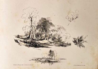 null VENTE à 11h 
Album de vignettes gravées Landscapes et Hills by J.B KIDD Édimbourg
On...