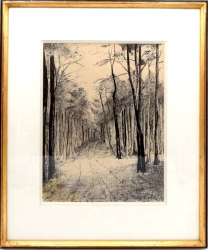 null Marie PIGELET (XXe siècle)
Le Sentier forestier
Encre signée en bas à droite
32...