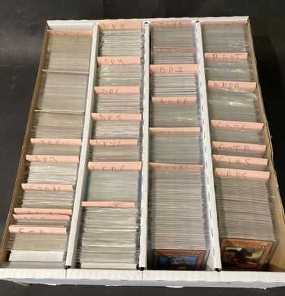 null YU-GI-OH
Lot de plus de 2500 cartes Yu-Gi-Oh en vrac de diverses séries
La majorité...