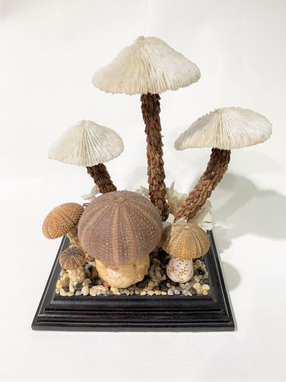 null Diorama aux champignons
Composition réalisée à partir de coquillages et crustacés
Porte...