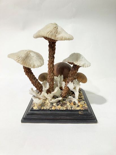 null Diorama aux champignons
Composition réalisée à partir de coquillages et crustacés
Porte...