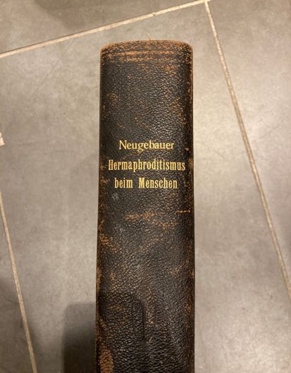 null Franz Ludwig von Neugebauer 
HERMAPHRODITISMUS BEIM MENSCHEN
Leipzig 1908