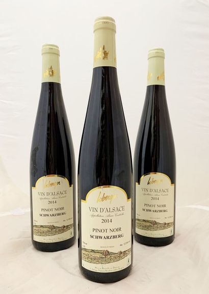 null ALSACE
3 bouteilles Alsace Pinot Noir 'Schwarzberg' Domaine Loberger. Rouge...