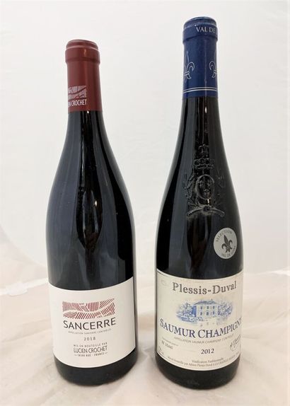 null LOIRE 
1 bouteille Sancerre Lucien Crochet. Rouge 2018
1 bouteille Saumur-Champigny...