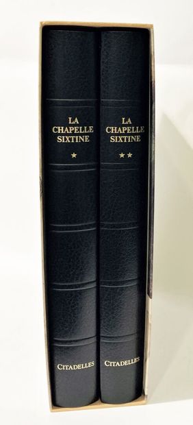null Michel Ange, La chapelle Sixtine 
2 volumes sous emboitage