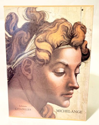 null Michel Ange, La chapelle Sixtine 
2 volumes sous emboitage