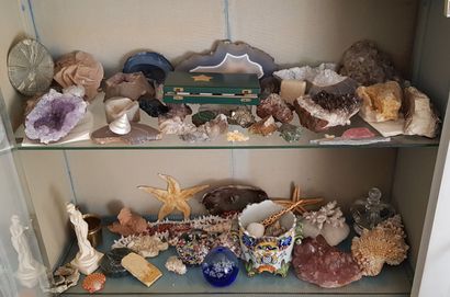 null Collection of stones and minerals