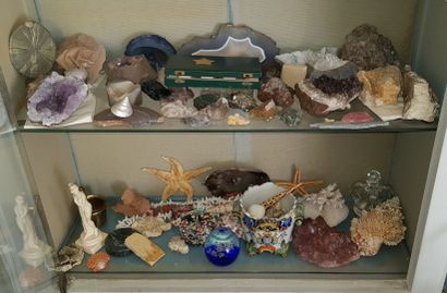 null Collection of stones and minerals