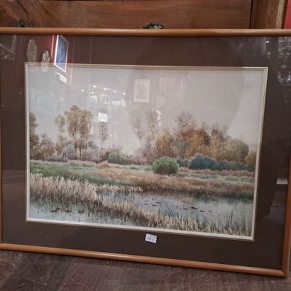 null La Sologne: deux vues d'étang
Paire d'aquarelles
36 x 52 cm