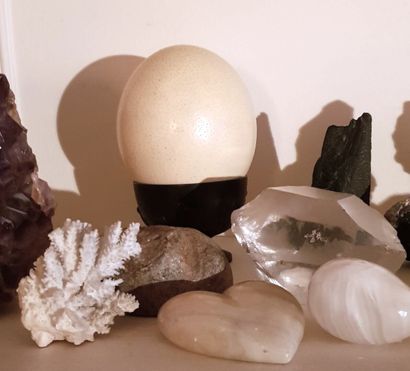 null Lot de minéraux, pierres dures, oeuf d'autruche, corail et boules de cristal...