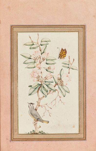 null IRAN ?
Oiseaux et branches fleuries
Deux aquarelles, traces de signature au...