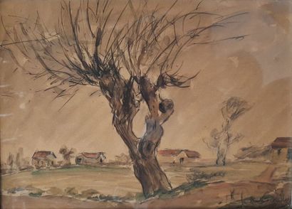 Daniel DOUROUZE Daniel DOUROUZE (1874-1923)

Arbre en Hiver

Crayon et rehauts d'aquarelle,...