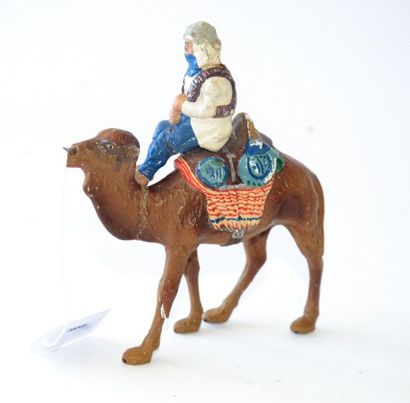null A Bedouin on a camel (G)