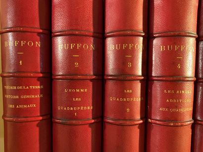 null 
Set of 10 volumes (Attention the photo bears the n° 577) LOT PHARE




BUFFON




Complete...