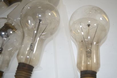 null Large set of 28 incandescent bulbs, screw base, in different sizes.