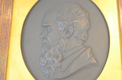 null WOOLNER Thomas (1825-1892): Portrait in medallion of Charles Darwin (1809-1882),...