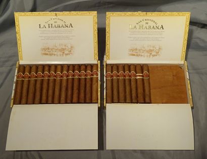 null Collection: San Cristobal de la Habana cigar, 19 cigars + 25 cigars in wooden...