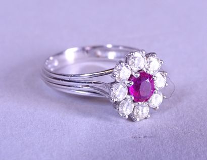 null Jewel: Ring in 18K white gold set with a ruby of approx. 0,40cts surrounded...