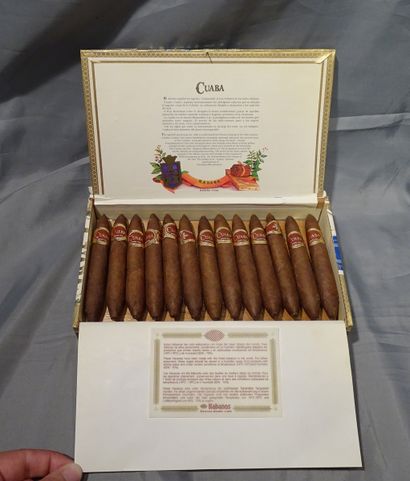 null Collection: CUABA cigars, Habana cuba, 25 traditional cigars, in wooden box