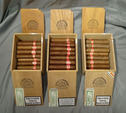 null Collection: Cigar Tabacos Quintero probably Favoritos L:11,5cm Diam:2cm Habana...