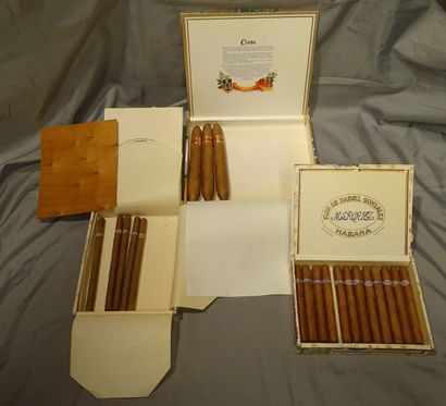 null Collection: cigars: Rafael Gonzales 12 panetelas extra + 5 slenderellas + Cuaba...