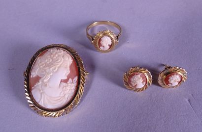 null Jewel: 18K yellow gold set with cameos on shells P: 16,1gr (3pcs)