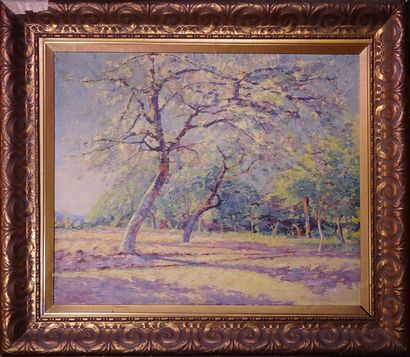 null Anonymous painting HST - Orchard in bloom- end of 19th century early 20th century...