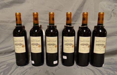 null Wine: (6) Bottles Bordeaux Chateau Saintongey 2007 (old vines)