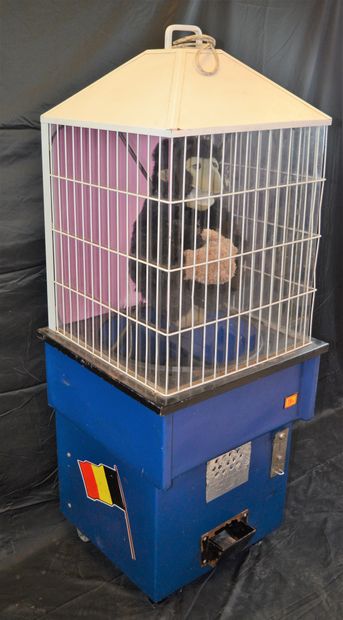 null Caged monkey plush, this is the famous "Chita" from Charleroi, well known for...