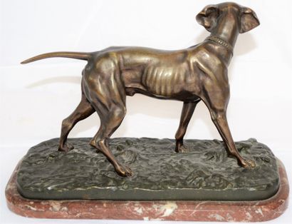 null Pierre-Jules MÈNE (1810-1879), Bronze dog "Braque", signed on the terrace. Length:...