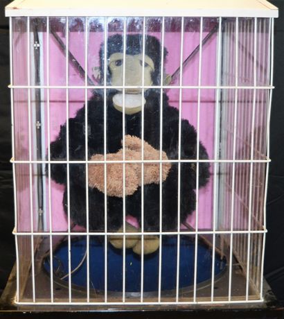 null Peluche de singe en cage, il s'agit ici du célèbre "Chita" de Charleroi bien...