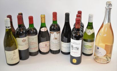 Vins (13) 13 bouteilles de vin, dont 3 "Château des Demoiselles Castillon Côtes de...